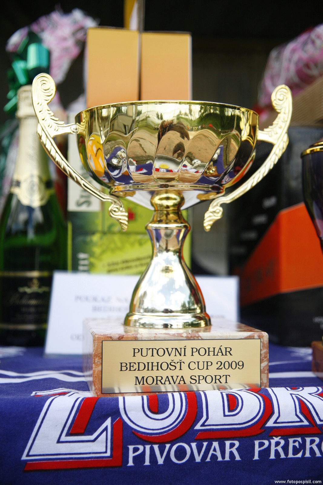 Putovní pohár